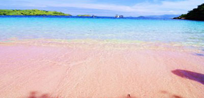 Pantai-Pink-di-Pulau-Komodo-00.jpg