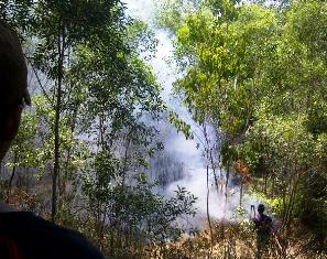 kebakaran hutan sekupang.jpg