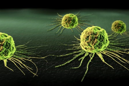 Cancer-Cell1.jpg