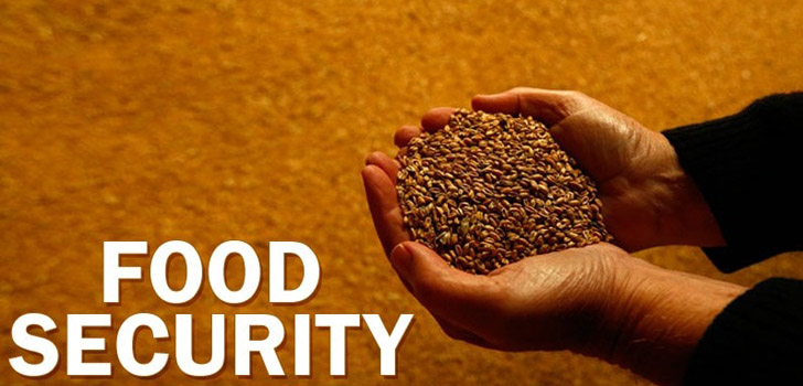 FoodSecurity.jpg
