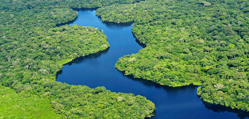 Hutan-Amazon1.gif