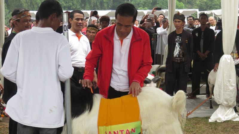 Jokowi_dan_kambing.jpg