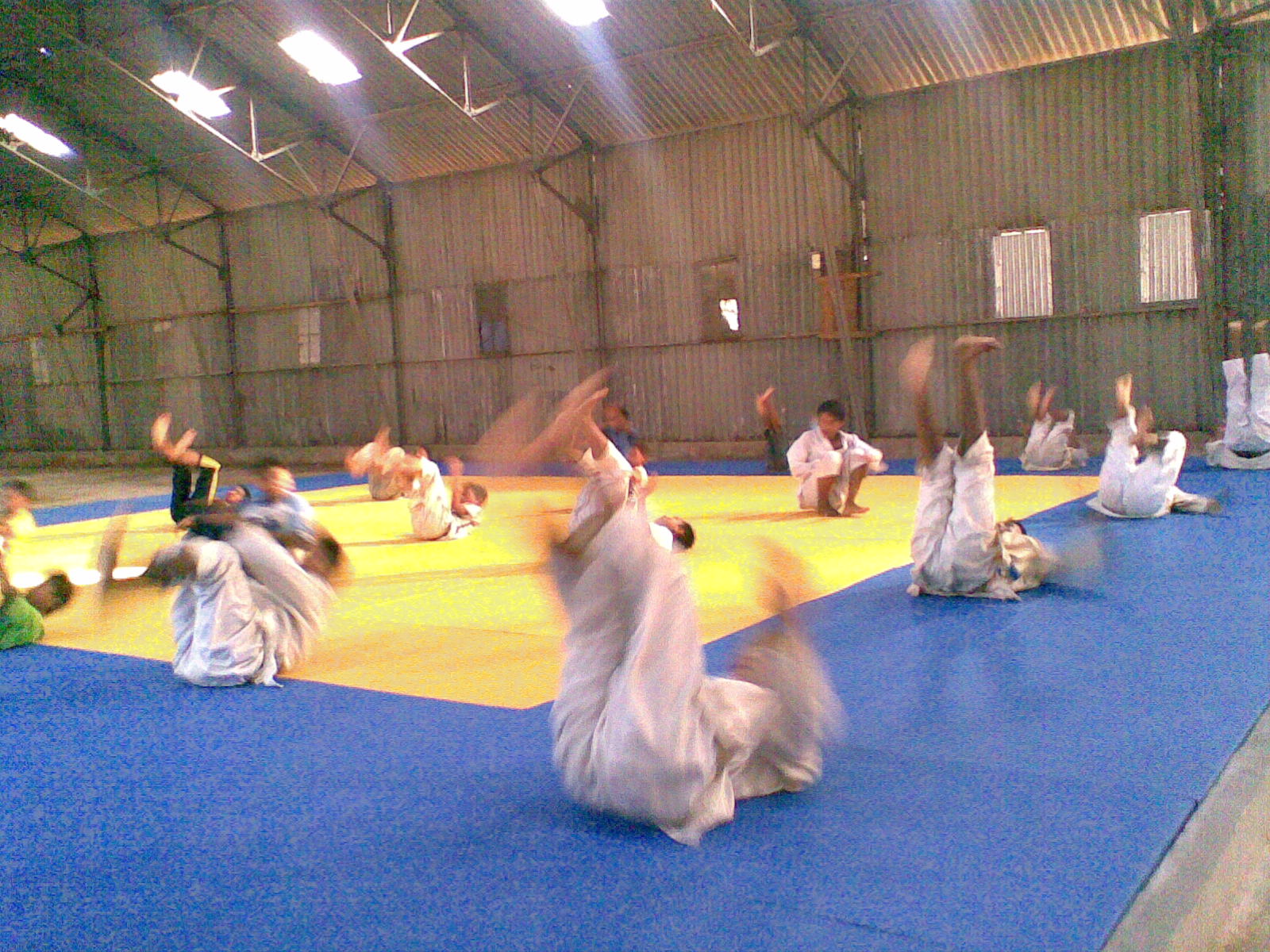 Latihan_Judo.jpg