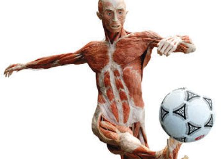 Soccer_player.jpg