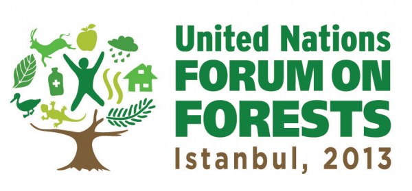 United-Nations-Forum-on-Forests-600x279.jpg