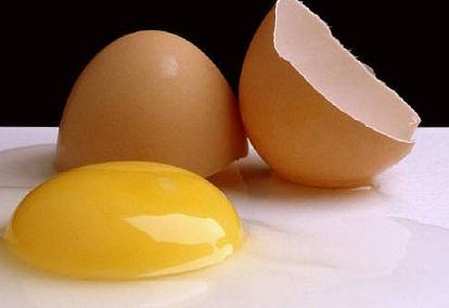 kuning-telur-(ehow)-depan.jpg