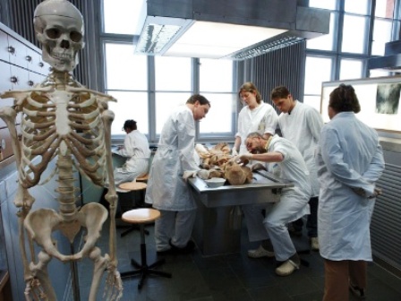 medical-students-examining-skeleto_450.jpg