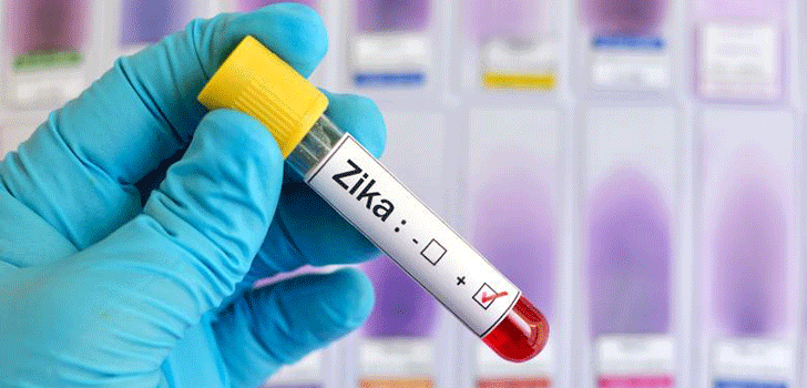 obat-virus-zika.gif