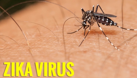 zika-virus-copy.jpg